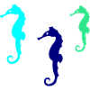 Seahorse Silhouette 02