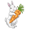 Rabbit Carrot
