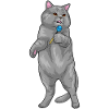 Cat Dart Dart