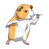Pintade Dart Dart