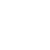 Golden Doodle Moon Phases