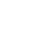 Australian Cattledog Moon Phases