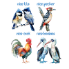 Funny birds named Nice birds
