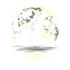 Bear Brown Bear Moon Howling