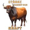 BULL STRENGTH COMES FROM STRENGTH