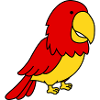 parrot