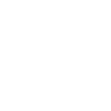 Lion Head Lion Crown