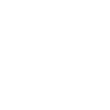 Lion Symbol King Crown