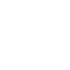 Lion Crown Logo