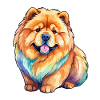 Chow Chow Aquarelles