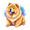 Chow Chow Aquarelles