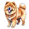 Chow Chow Aquarelles