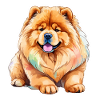 Chow Chow Aquarelles