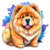 Chow Chow Aquarelles
