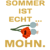 summer is summer