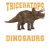 Triceratops Dinos Gift