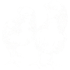 Küken