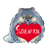 J’adore mon Pom Merle