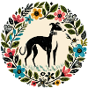 Galgos