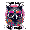Raccoon Eat Trash Gift Idea