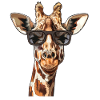 Girafe Drôle D’été