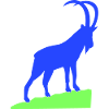 Capricorn