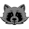 Raccoon Comic