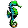 Seepferdchen