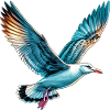 Gull