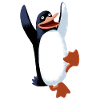 Pinguin