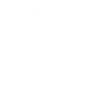 Stegosaurus Dino Gift