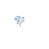 Heartbeat Flowers
