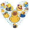 Rubber Duck Rubber Duck