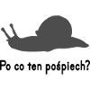 Schnecke