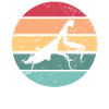 Gottesanbeterin Retro Entomologe Gottesanbeterin