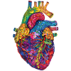 Anatomisches Herz Kunst Bunt