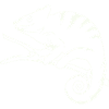 funny cameleon copy