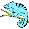 funny cameleon 02 copy