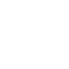 Painter