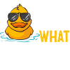 Rubber Duck Rubber Duck