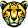 Guépard