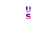 US Elections 2024