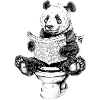 Panda curieux dans les toilettes
