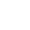 Cats Illustration