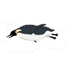 Pinguin fliegt