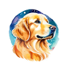 Aquarelles Golden Retriever