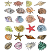 Coquillages, Vie marine, Vie océanique