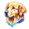 Aquarelles Golden Retriever