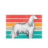 Afghan Hound Gifts