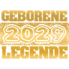 2029